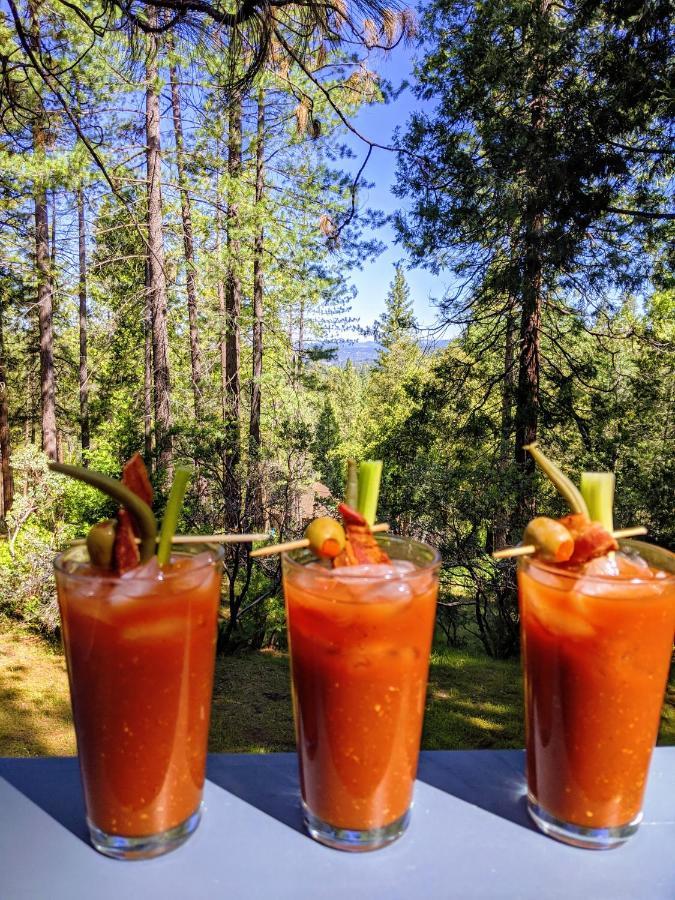 Breckenridge Chalet Near Yosemite. Dog Friendly! Гроувланд Екстериор снимка