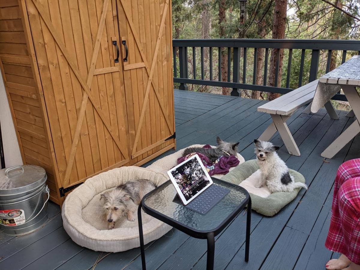 Breckenridge Chalet Near Yosemite. Dog Friendly! Гроувланд Екстериор снимка