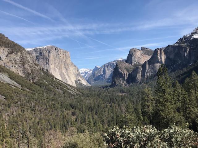 Breckenridge Chalet Near Yosemite. Dog Friendly! Гроувланд Екстериор снимка